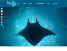 Tablet Screenshot of bigfishdiving.com